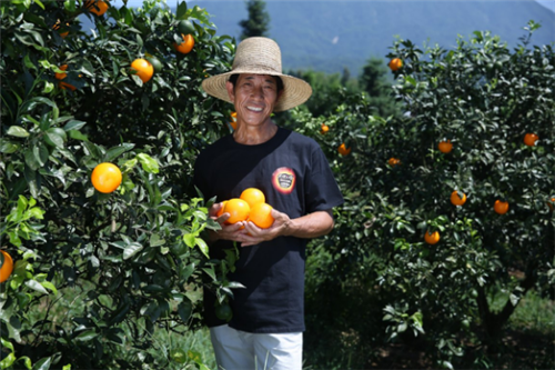 天使之橙母公司获授上海市“专精特新”称号