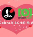 Cobra与BCH的热恋