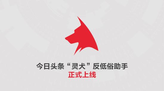 　　Q1：今日头条为什么要推出“灵犬”反低俗助手？