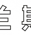 因为用心，所以专业——特兰斯科带你领略别样翻译风采