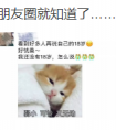 南国食品召集令，《给葬爱家族的一封信》