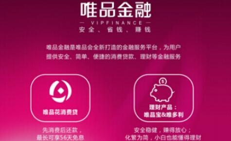 唯品会金融业务迅速发展，物流业务持续推进