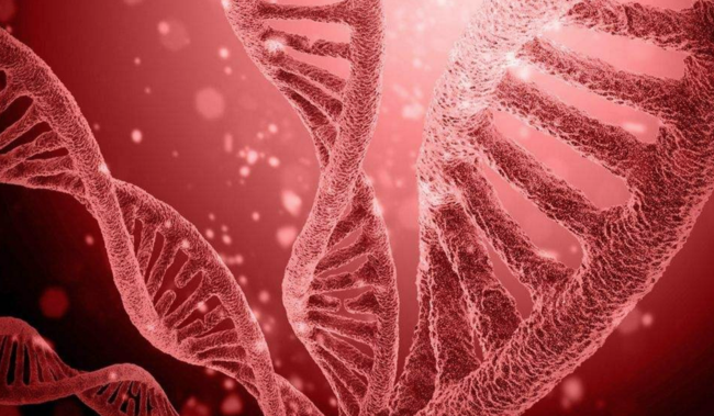 Gene基因源码链与中医科学院洽谈合作，诺贝尔奖得主出任顾问
