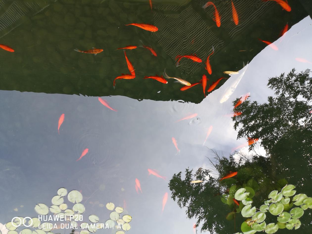 图片7.jpg