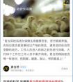 全面赋能合作伙伴，百度熊掌号开辟搜索新玩法