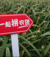 拼多多在河南搞事情！1天卖出4.7万单大蒜！