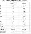 基于“善管”框架的隐性债务监管对策研究