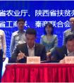 运满满与陕西洛南县达成扶贫帮困协议