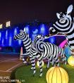Halo Park光乐园全球首秀! 这些梦幻照片是怎么拍出来的？