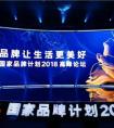 孙为民畅想未来中国品牌图景：“让机器去干活，让人去生活”
