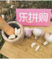 年中大促兵马未动“蒜”先行 苏宁易购聚焦扶贫问题