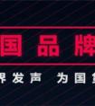 中国品牌日里说国货：你知道吗，苏宁已成本土品牌腾飞的翅膀
