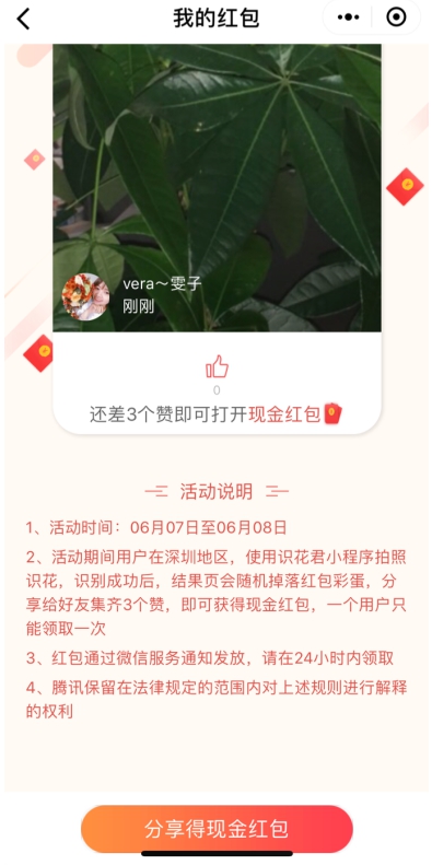 鹏城市民赏花又有新玩法 Q Q浏览器创森版“识花君”扫花送红包